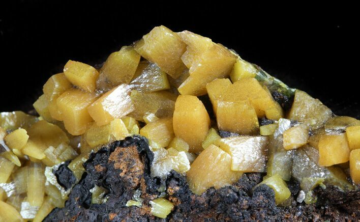 Orange Wulfenite Crystals on Matrix - Mexico #45691